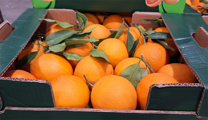 Arance Bionde, Calabria, cal.4 1,50 euro al chilo